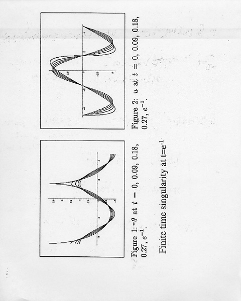 b11